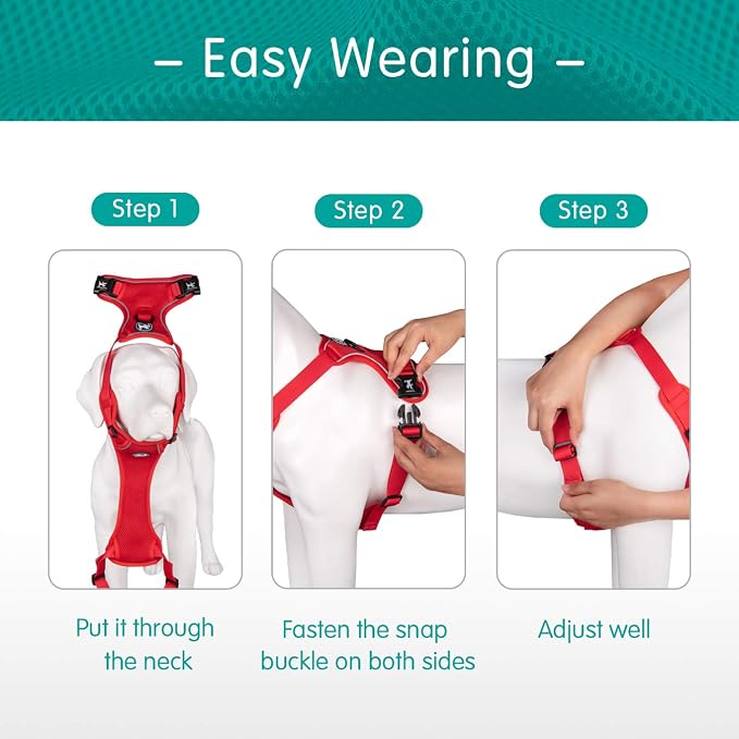 PoyPet Mesh Dog Harness, Reflective Breathable Puppy Vest for Small Dogs | Lightweight, Soft Air Mesh, Back D-ring, Adjustable, Comfortable, Double Padded, No Choke, for Daily Walking, XS, Red - Image 4