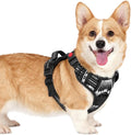rabbitgoo Dog Harness Small Sized, Updated Easy On & Off with 3 Buckles | No Pull No Choke, Walking with 2 Clips and Handle, Adjustable Soft Reflective, Mountain Black, Small by rabbitgoo