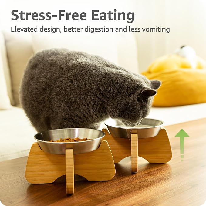 Raised Stainless Steel Cat Bowl with Bamboo Stand (1 Pcak) | Dishwasher Safe, Non-Slip Pads, Wide, Flat and Shallow Bottom, Anti Whisker Fatigue, Cute, Plate for Dry and Wet Food - Image 2