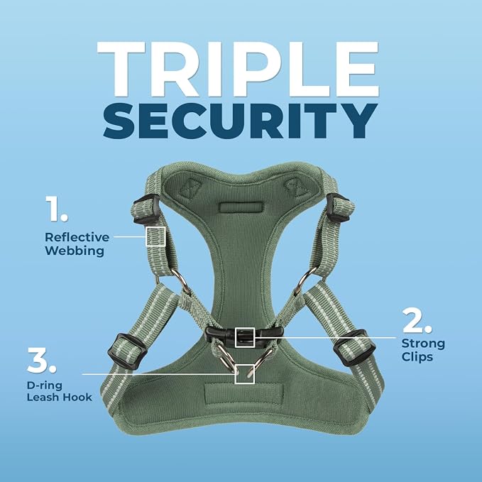Best Pet Supplies Voyager Adjustable Step-in Flex Breathable Mesh Dog Harness for Small Medium Large Dogs Leash Set (Moss Green), L - Image 5