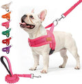 BEAUTYZOO Dog Harness Medium Sized and Leash Set, No Pull Step in Pet Vest | Breathable Mesh with Handle, Reflective, Adjustable No Choke Escape Proof, Lightweight, Easy Control for Walking, Pink M by BEAUTYZOO