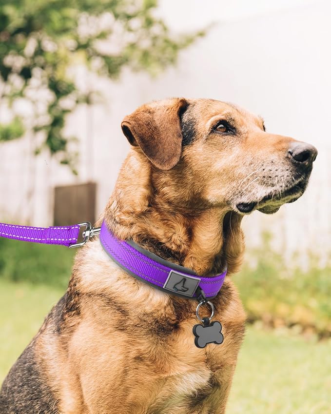 Joytale Reflective Dog Collar for XLarge Dogs with Wide Padding, Purple | Soft Cushion Reduce Neck Strain, Night Safety Walking, Metal Buckle and Adjustable Eyelets, Separated Dog ID Tag Ring - Image 6