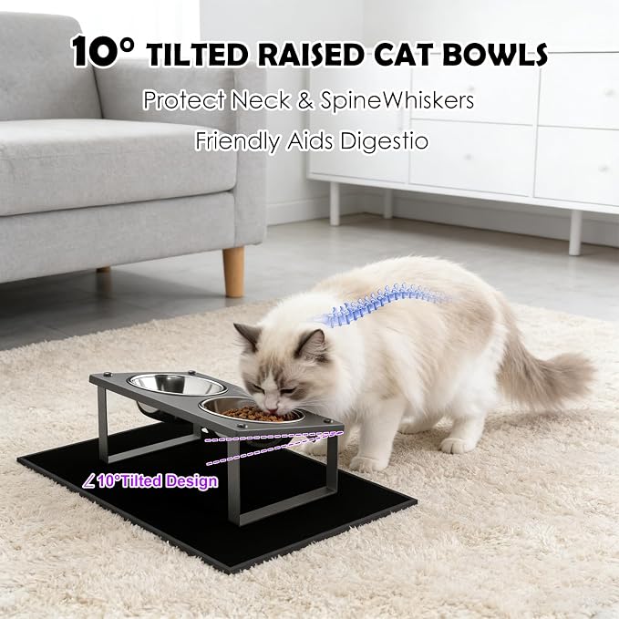 Elevated Cat Bowls with Splash Proof Mat for Kitten Puppy, 10° Tilted Raised Cat Bowl Stand Anti-Vomiting, 2 Wide Shallow Stainless Steel Bowls, Whisker Friendly, 3.5" Tall - Image 2