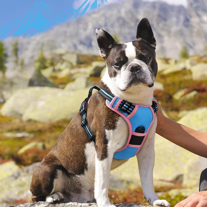 Eagloo Dog Harness for Medium Sized Dogs, No Pull Vest with 2 Leash Clips | No Choke with Handle, Adjustable Comfort Fit, Reflective Strips, Easy Walking Control, Pink & Sky Blue, Medium - Image 8
