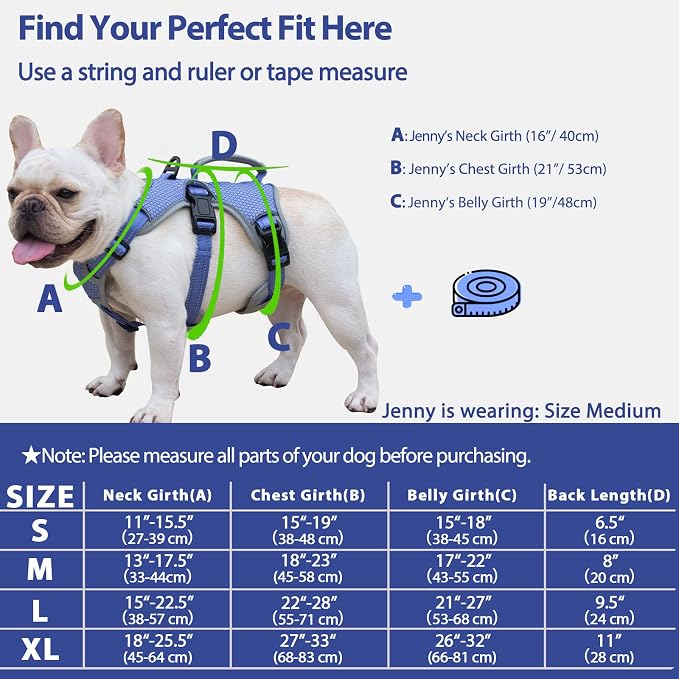 Escape Proof Dog Harness, Dachshund Harness, Reflective Dog Harness with Handle, Durable,Adjustable Vest for Small Medium Large Dogs Walking, Training, and Running Gear (Technicolor Blue,L) - Image 6