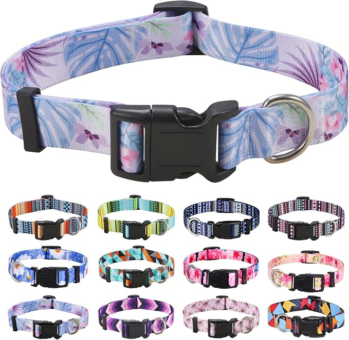 Mihqy Dog Collar for Small Dogs, Fashion Design, Purple Flower,S | Neck Fit 9.8"-15.7", Multiple Patterns，4 Sizes for Small Medium Large Dogs, Comfortable for Walks and Outdoor Hikes by Mihqy