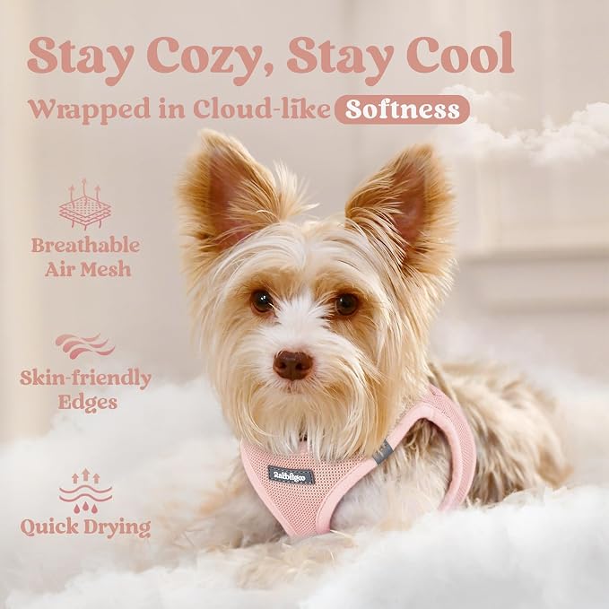 rabbitgoo Step-in Small Dog Harness, Puppy Vest for Small Medium Sized Pet | Easy Put on and off, Lightweight, Soft, Breathable Quick-Dry Air Mesh for Comfortable Secure Walking, Pink XL - Image 3