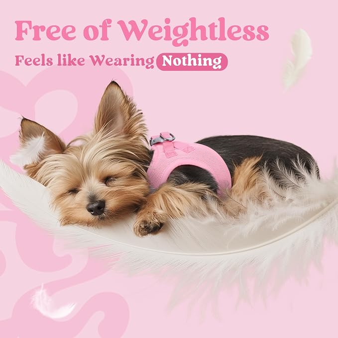 rabbitgoo Step-in Small Dog Harness, Puppy Vest for Small Sized Pet | Easy Put on and off, Lightweight, Soft, Breathable Quick-Dry Air Mesh for Comfortable Secure Walking, Light Pink XXXS - Image 5