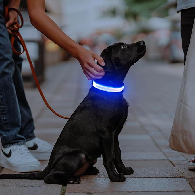 Illumifun LED Dog Collar, Adjustable Dog Light Up Collars, USB Rechargeable Safety Collar Light Glow in the Dark (Blue, Large) - Image 4