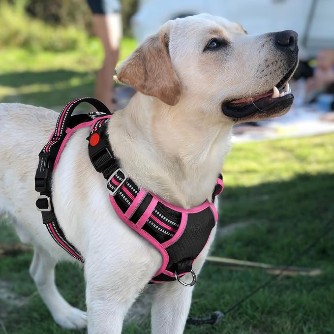 rabbitgoo Dog Harness for Large, No Pull 3 Buckles Easy On & Off | Soft Padded, Walking with Control Handle, Adjustable and Reflective, Black & Pink, Large - Image 8