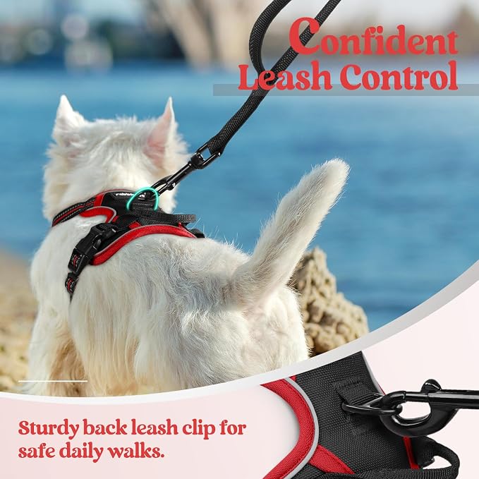 rabbitgoo Dog Harness, No Pull for Small Dogs with 2 Leash Clips, Pet Vest | No Choke with Handle, Adjustable Soft Padded, Reflective, Easy Control for Walking, Black & Red, X-Small - Image 6