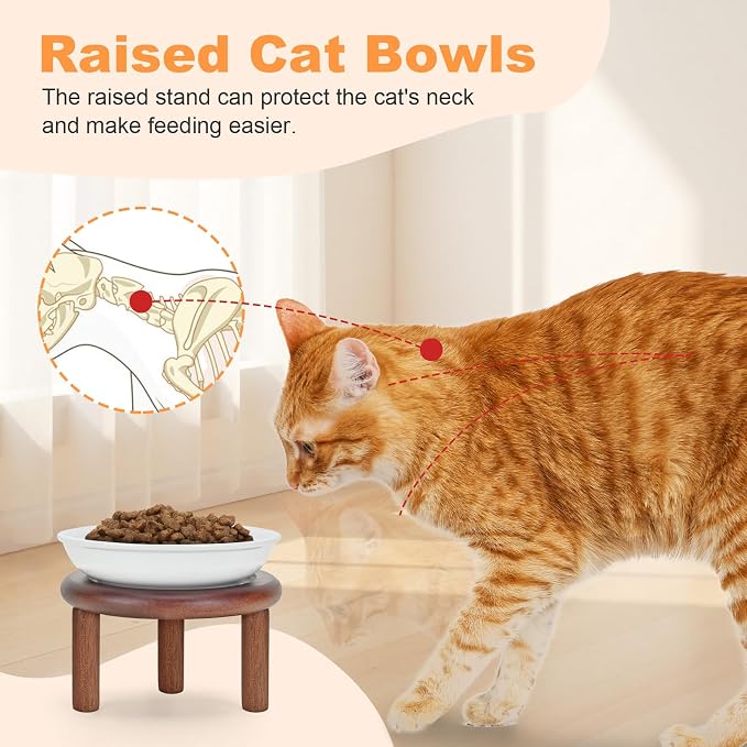 SPUNKYJUNKY Shallow Elevated Cat Bowl with Acacia Wood Stand Wide Raised Ceramic Cat Dishes Whisker Friendly Pet Food and Water Plates (Striped Pattern, 2 Pack, White) - Image 3