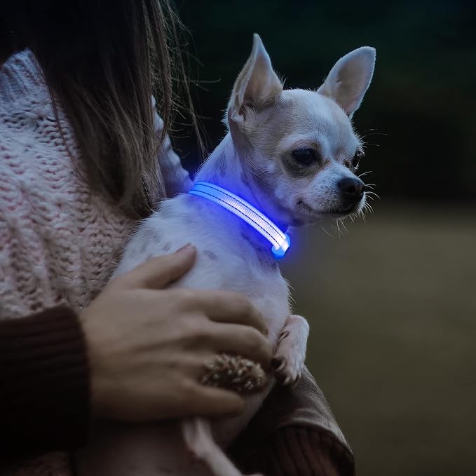 Visinite Light Up Dog Collars for Small Dogs,LED Dog Collar Light Rechargeable,Fully Adjustable Lighted Dog Collar,Glow in The Dark Dog Collars with Dog Lights for Night Walking,Blue - Image 6