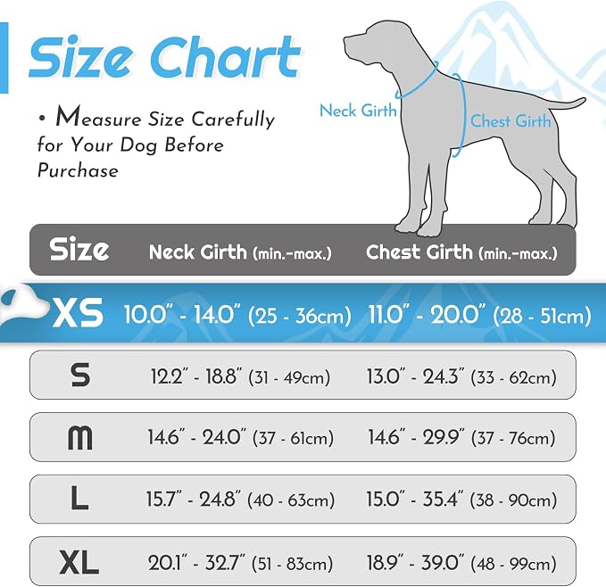 Eagloo Dog Harness for Small Dogs, No Pull Pet Vest with 2 Leash Clips | No Choke with Handle, Adjustable Comfort Fit, Reflective Strips, Easy Walking Control, Pink & Sky Blue, X-Small - Image 2