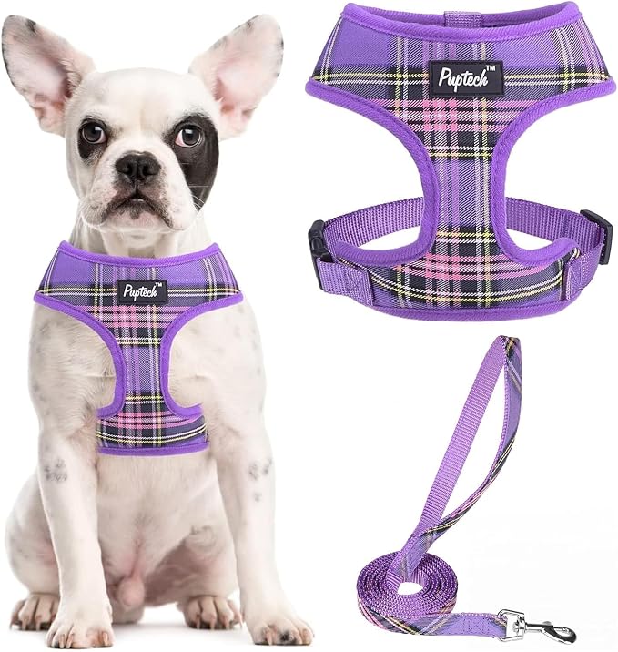 PUPTECK Small Dog Harness and Leash Set No Pull for XS XXS Sized Dogs Puppy | Escape Proof No Choke Pet Cat Adjustable Soft Padded Walking Vest by PUPTECK