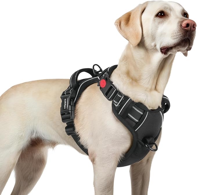 rabbitgoo Dog Harness for Large, Updated Easy On & Off with 3 Buckles | No Pull No Choke, Walking with 2 Clips and Handle, Adjustable Soft Reflective, Black, Large by rabbitgoo