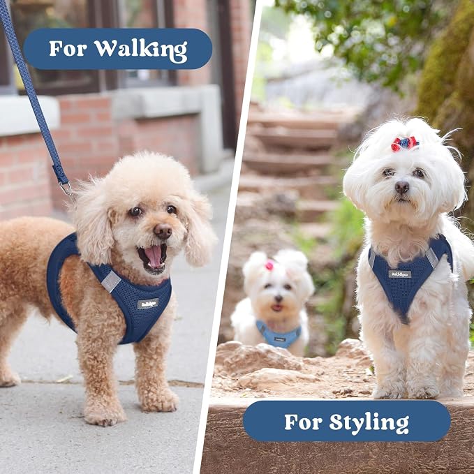 rabbitgoo Step-in Small Dog Harness, Puppy Vest for Small Medium Sized Pet | Easy Put on and off, Lightweight, Soft, Breathable Quick-Dry Air Mesh for Comfortable Secure Walking, Navy Blue XL - Image 9