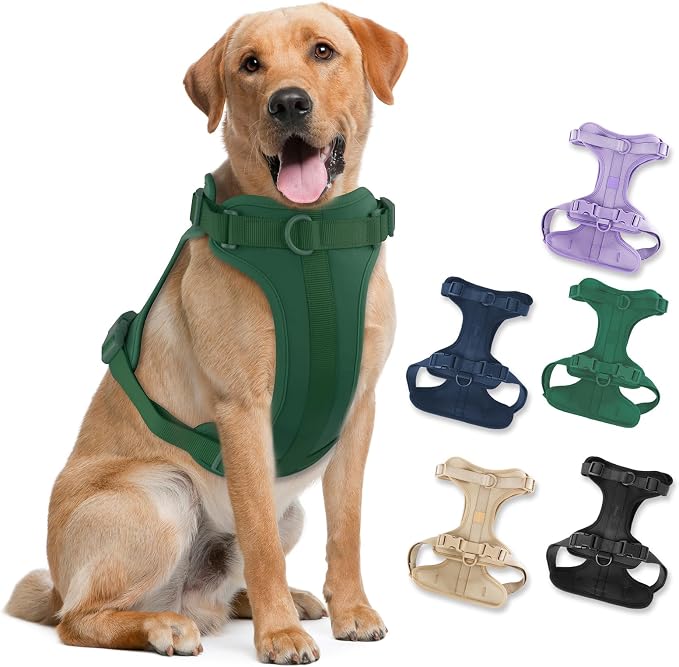 Wisedog Lightweight No Pull Dog Harness, Pine Green, Large | Air Mesh, 3 Clips, Adjustable, No Choke Design, Ideal for Walking Training by WisedogPetSupplies