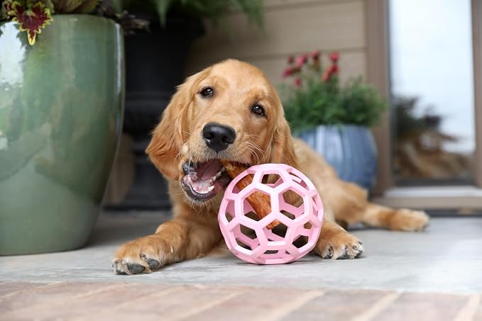 JW Pet HOL-ee Roller Dog Puzzle Ball, Large 5.5in, Natural Rubber, Pink | Puzzle Ball Design Dog Toy for Interactive Play and Chasing Fun - Image 4