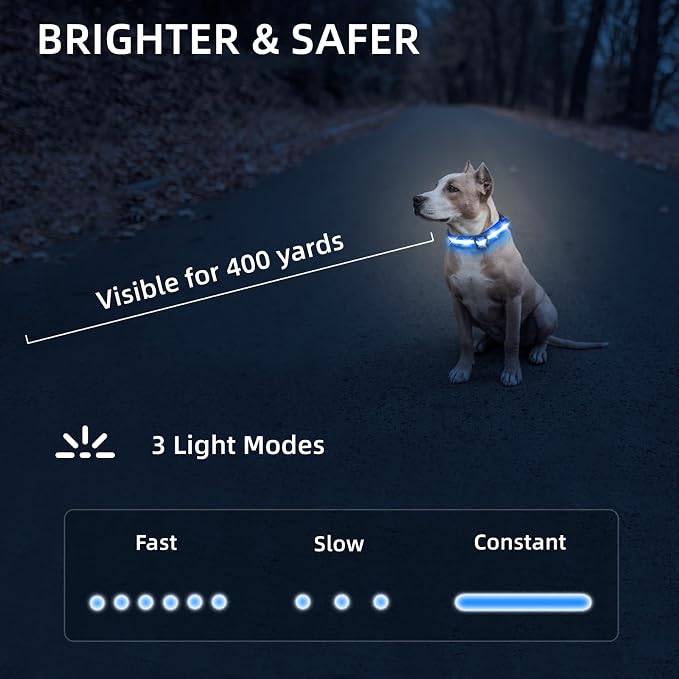 Super Bright LED Dog Collar, Waterproof Light up Collars(Blue, X-Small) | Lighted Dog Collar with Adjustable Fit, Soft Nylon Comfort, USB-C Rechargeable, Glow in the Dark Visibility for Night Walks - Image 7
