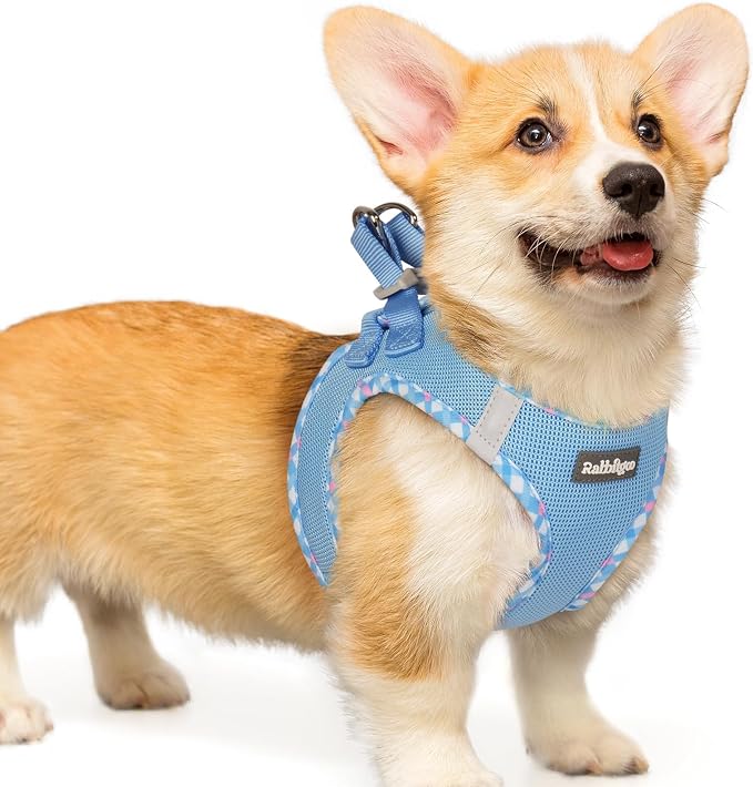 rabbitgoo Step-in Small Dog Harness, Puppy Vest for Small Medium Sized Pet | Easy Put on and off, Lightweight, Soft, Breathable Quick-Dry Air Mesh for Comfortable Secure Walking, Blue & Plaid Trim L by rabbitgoo