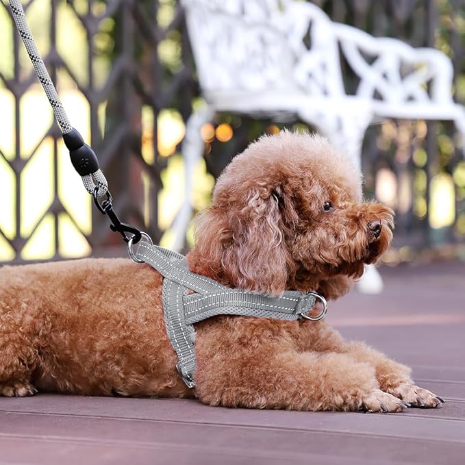 Plutus Pet No Pull Dog Harness for Large Dogs, Breathable Mesh Padded | Adjustable Reflective with Handle, Escape Proof, Quick Fit Pet Vest, Front Clip, for Training and Walking, Gray, XL - Image 5