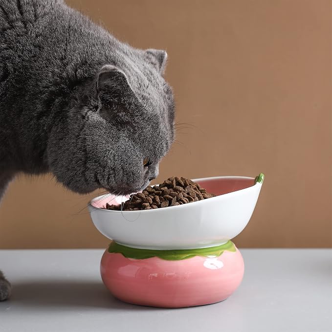 Ceramic Raised Cat Bowl, Pink, Strawberry Shaped | Elevated Food Bowl, Indoor Cats, Anti-Vomiting & Spine Protection, Cute Tilted Pet Dish, For Flat-Faced Cats and Kittens - Image 3
