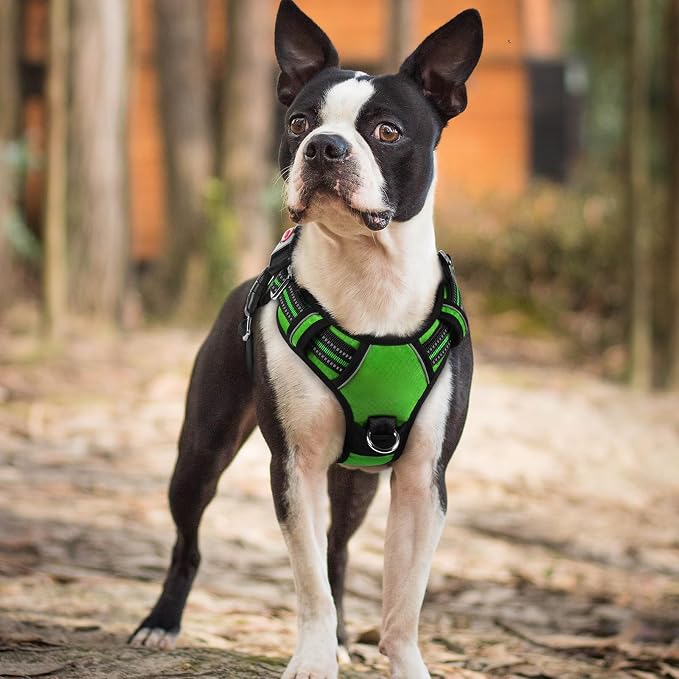 rabbitgoo Dog Harness Small Sized, No Pull 3 Buckles Easy On & Off | Soft Padded, Walking with Control Handle, Adjustable and Reflective, Green, Small - Image 8