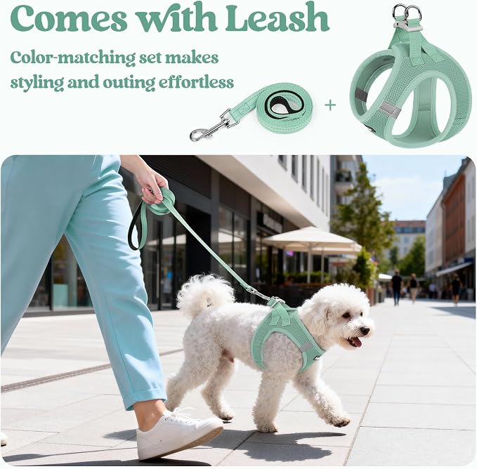 rabbitgoo Dog Harness Small Sized and Leash Set, Step-in Puppy Pet Vest | Light, Soft, Breathable Air Mesh, Easy on and Remove with Hook & Loop, Secure Reflective for Walking, Moss Green S - Image 6