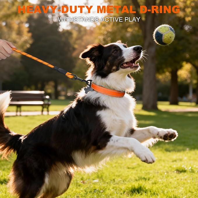 Taglory Reflective Dog Collar for Medium Dogs, Soft and Safe for Daily Walk | Soft Neck Cushioning, Adjustable 14-20 in, Sturdy Webbing Withstands Strong Pullers, Zinc Alloy D-Ring for Leash and ID Tags - Image 6