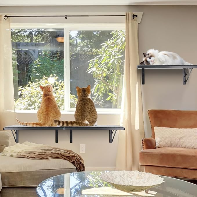 Cat Wall Shelves Set of 4, Purrfect Cat Furniture Set - 4 Piece Wooden Wall Shelves with Scratching Pad, Sleeping & Playing Area, Window Perch for Large Cats - Black - Image 6