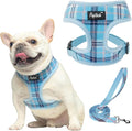 PUPTECK Small Dog Harness and Leash Set No Pull for XS XXS Sized Dogs Puppy | Escape Proof No Choke Pet Cat Adjustable Soft Padded Walking Vest by PUPTECK