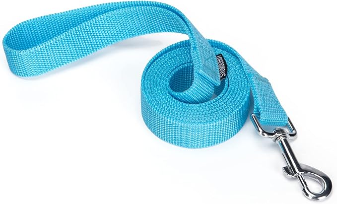 Strong Durable Nylon Dog Training Leash, 1 Inch Wide Traction Rope, 6 ft Long, for Small and Medium Dog (Mint Blue, 6 Feet) - Image 6