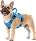 WINGOIN Blue Tactical Dog Harness for Small Dogs,No Pull Dog Harness | with Handle,Adjustable Reflective,Military K9 Style,Big Size Dog Vest,for German Shepherd,for Walking Training Hunting by WINGOIN