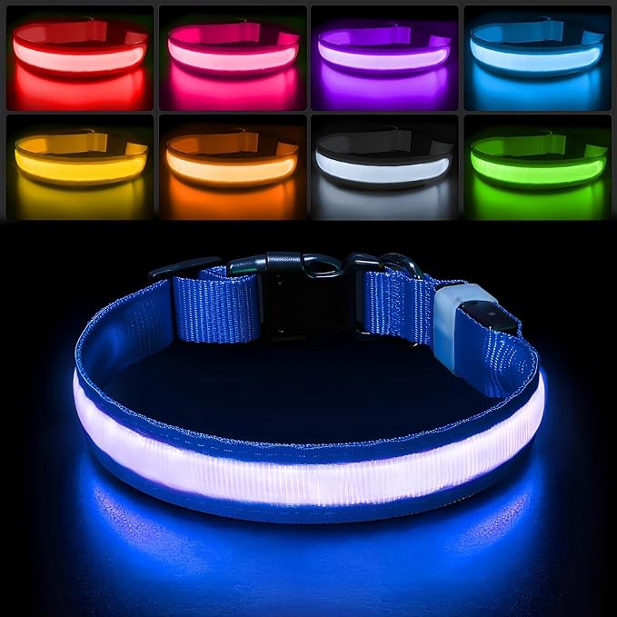 PcEoTllar Light up Dog Collar, Safe for Night Walking, Adjustable, Blue, S | Colorful RGB Light, Waterproof, For Small Medium and Large Dogs, Durable Material, USB to Charge by PcEoTllarPetSupplies