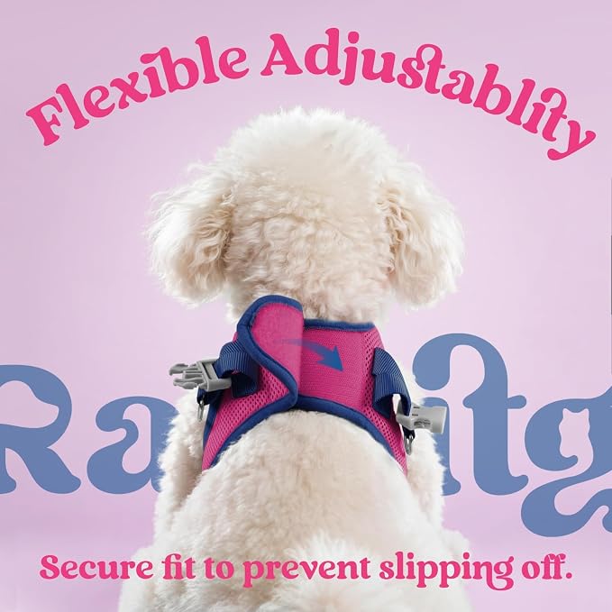 rabbitgoo Dog Harness Small Sized and Leash Set, Step in Soft Vest | Breathable Mesh, Easy Wear with Hook & Loop, Light and Reflective for Walking, Multi-colored, Rose Red & Navy Blue, XS - Image 6
