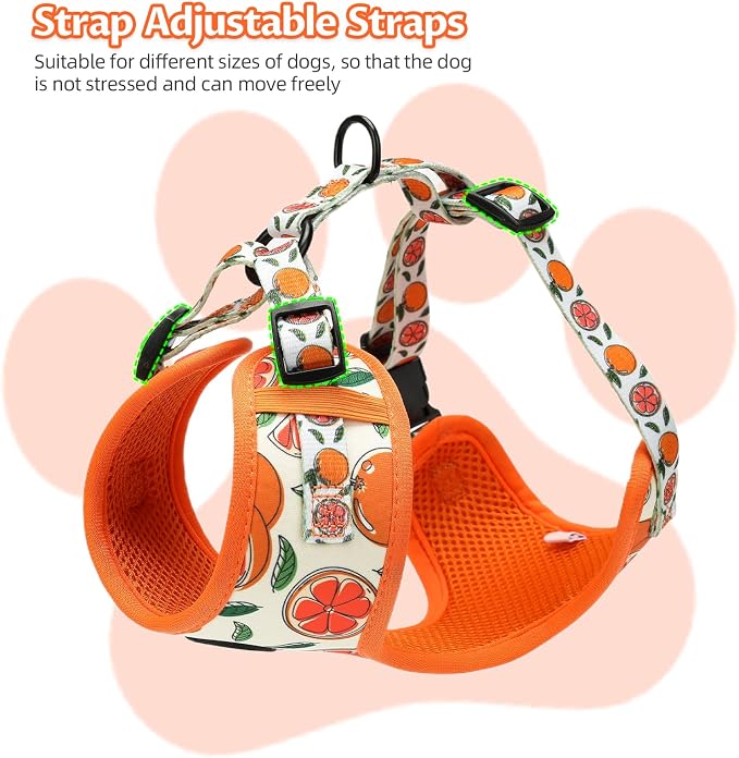 Small Dog Harness and Leash Set of 6, No Pull Soft Lightweight Mesh Puppy Harness， Adjustable Cute Floral Pattern Pet Harness for Small Medium Dogs (Orange, S) - Image 5