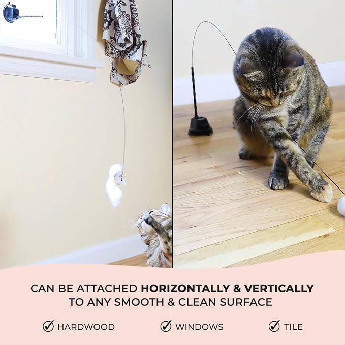 Whiskertons Interactive Bird Simulation Cat Toy Set, Interactive Cat Toys for Indoor Cats, Cat Feather Toy, Self-Holding Suction Base, 5 Replacement Birds, Feathers & Bells, Realistic Bird Impression - Image 4