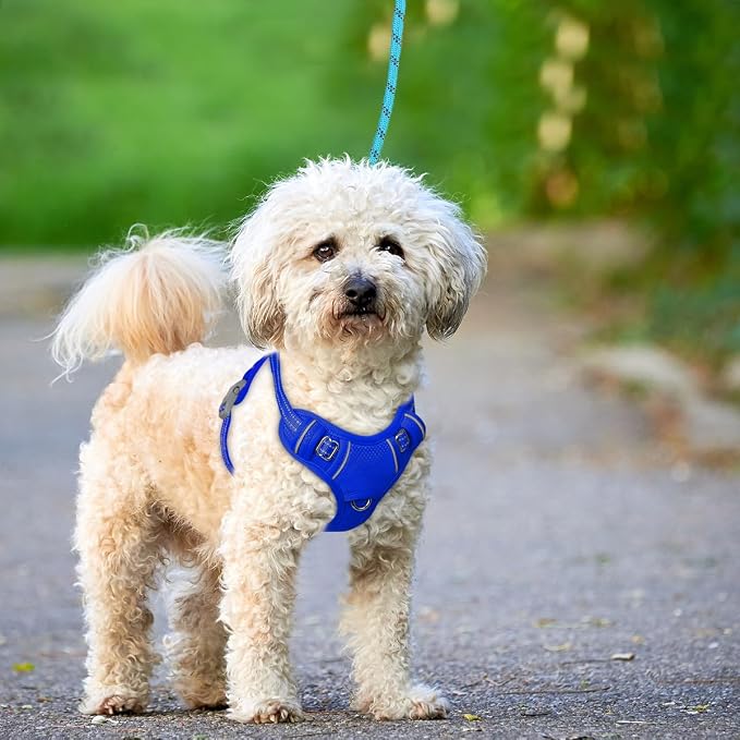 BARKBAY No Pull Dog Harness Large Reflective Dog Harness with Front Clip and Easy Control Handle for Walking Training Running with ID tag Pocket(Sapphire Blue,S) - Image 9