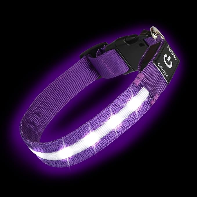 Super Bright LED Dog Collar, Waterproof Light up Collars(Purple, Medium) | Lighted Dog Collar with Adjustable Fit, Soft Nylon Comfort, USB-C Rechargeable, Glow in the Dark Visibility for Night Walks by PetIsay