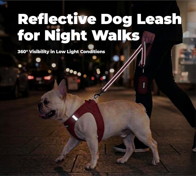 Best Pet Supplies Voyager Nylon Dog Leash - Red, Medium | 5ft in Length, 3/4" in Width, Reflective, Soft Neoprene Handle, Heavy Duty Metal Clips for Running, Walking & Training - Image 4