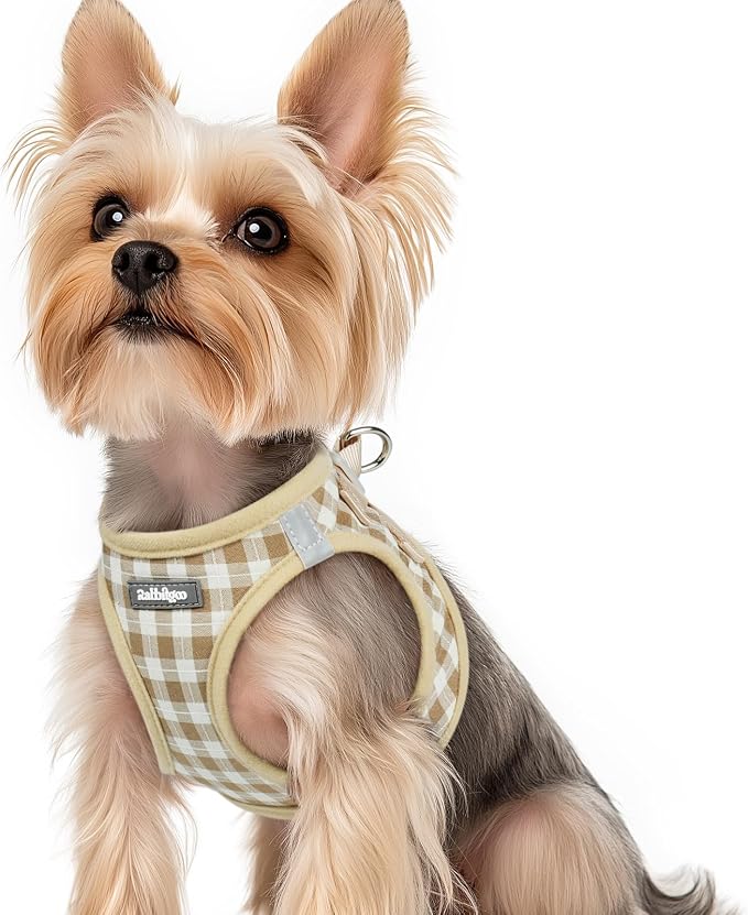 rabbitgoo Step-in Small Dog Harness, Puppy Vest for Small Sized Pet | Easy Put on and off, Lightweight, Soft, Breathable Quick-Dry Air Mesh for Comfortable Secure Walking, Beige Check XS by rabbitgoo