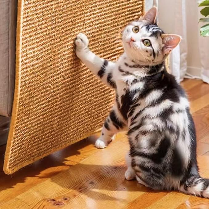 Cat Scratch Pad, Sisal Scratcher Mat Rug, 23.6x15.7in, Furniture Protector | minni-goods, 1 Pack, Hook Tape Backing, Indoor Cats, Natural Brown - Image 3