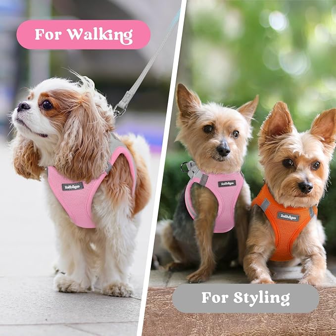 rabbitgoo Step-in Small Dog Harness, Puppy Vest for Small Sized Pet | Easy Put on and off, Lightweight, Soft, Breathable Quick-Dry Air Mesh for Comfortable Secure Walking, Light Pink & Gray XXS - Image 9