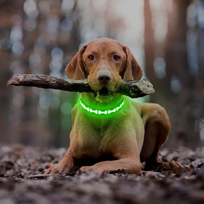Flashseen LED Dog Collar Light Up USB-C Rechargeable (Green, Medium) | Glow in the Dark Collar for Night Walking, Adjustable Waterproof Visibility Glowing Collars for Dogs - Image 6