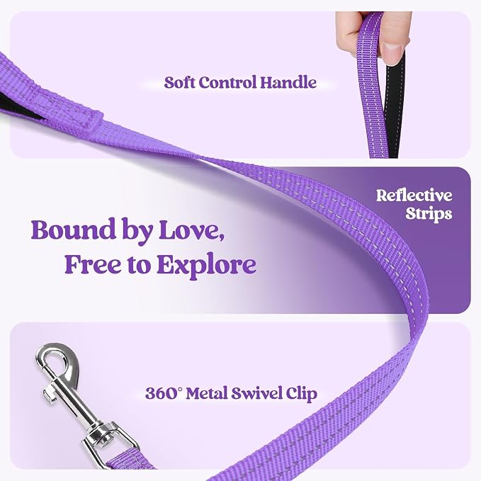 rabbitgoo Dog Harness Small Sized and Leash Set, Step-in Puppy Pet Vest | Light, Soft, Breathable Air Mesh, Easy on and Remove with Hook & Loop, Secure Reflective for Walking, Purple M - Image 7
