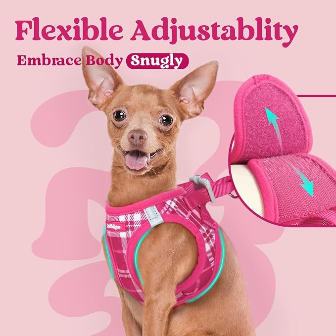 rabbitgoo Step-in Small Dog Harness, Puppy Vest for Small Medium Sized Pet | Easy Put on and off, Lightweight, Soft, Breathable Quick-Dry Air Mesh for Comfortable Secure Walking, Rose Red Plaid L - Image 6