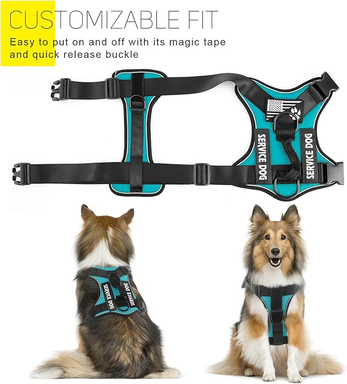 Dog Service Harness, Reflective, Adjustable, Durable, Large, Turquoise, Solid - Image 3