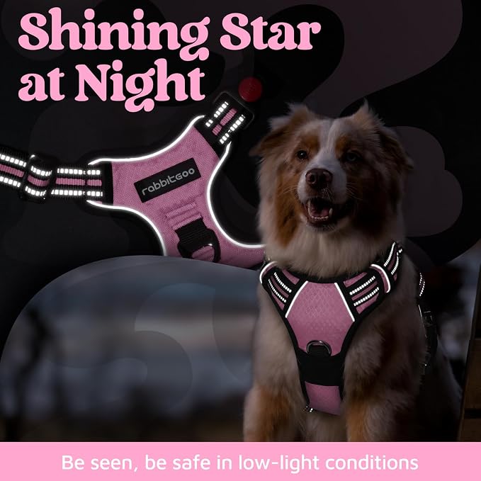 rabbitgoo Dog Harness for Large, No Pull 3 Buckles Easy On & Off | Soft Padded, Walking with Control Handle, Adjustable and Reflective, Light Pink, Large - Image 6