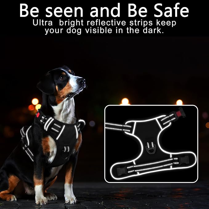 Timos Dog Harness, Front Clip No Pull Medium Sized with Handle, Black, M | No Choke, Adjustable Reflective Soft Padded, Quick Release 3 Buckles, Easy On & Off, Front & Back 2 Clips for Outdoor Walking - Image 2